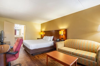 Room, 1 King Bed, Accessible, Non Smoking