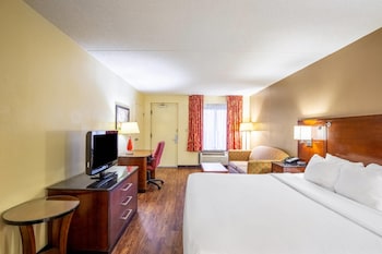 Room, 1 King Bed, Accessible, Non Smoking (Efficiency)
