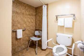 Room, 1 King Bed, Accessible, Non Smoking (Efficiency)