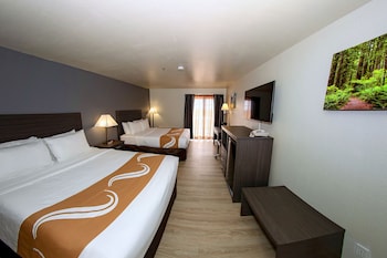 Standard Room, Non Smoking (NO PETS)