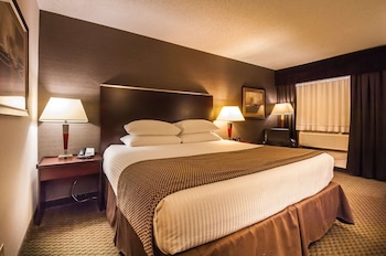 Standard Room, 1 Queen Bed, Non Smoking, Refrigerator & Microwave (Walk-in Shower;with Sofabed)