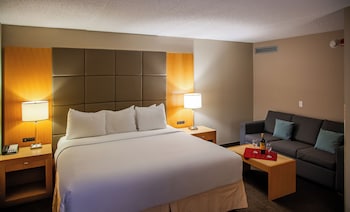 Premium Room, 1 King Bed with Sofa bed, Accessible