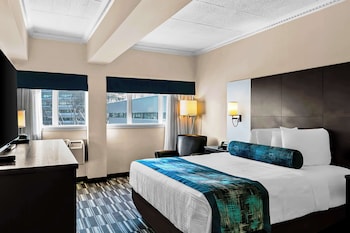Standard Room, 1 Queen Bed, Non Smoking, Refrigerator (Pet Friendly)