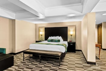 Standard Room, 1 King Bed, Non Smoking, Jetted Tub (Larger Room)