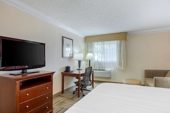 Standard Room, 1 King Bed, Non Smoking, Refrigerator