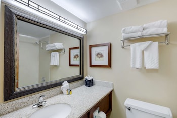 Standard Room, 1 King Bed, Non Smoking, Refrigerator