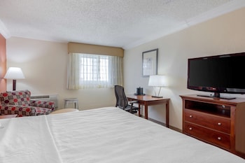 Standard Room, 1 King Bed, Non Smoking, Refrigerator