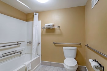 Standard Room, 1 King Bed, Accessible, Bathtub