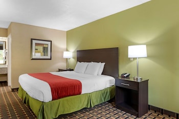 Standard Room, 1 King Bed, Smoking, Refrigerator & Microwave