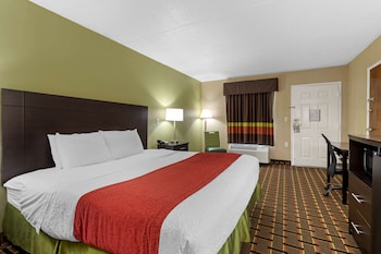 Standard Room, 1 King Bed, Smoking, Refrigerator & Microwave