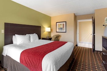 Standard Room, 1 King Bed, Accessible, Bathtub