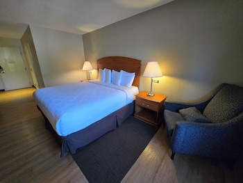 Deluxe Single Room, 1 King Bed