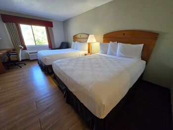 Deluxe Quadruple Room, 2 Queen Beds
