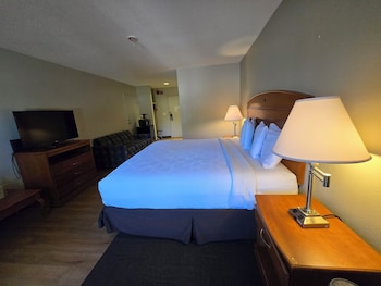 Deluxe Single Room, 1 King Bed