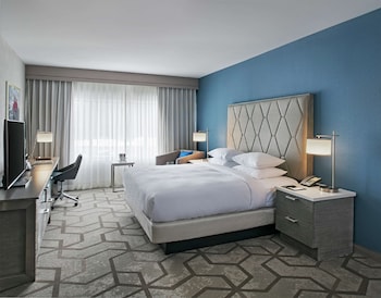 Room, 1 King Bed