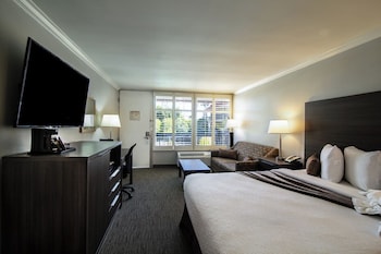Room, 1 King Bed with Sofa bed (Courtyard)