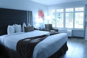 Standard Room, 1 King Bed, Accessible