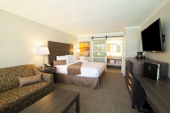 Room, 1 King Bed with Sofa bed (Courtyard)