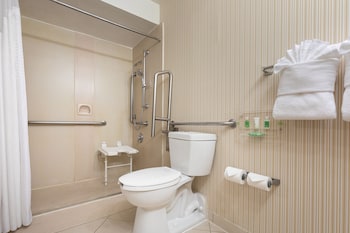 Standard Room, 1 King Bed, Roll-in Shower (Mobility)