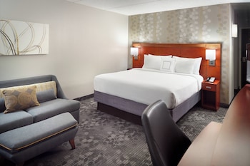 Room, 1 King Bed with Sofa bed (Hearing Accessible)