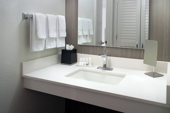 Room, 1 King Bed with Sofa bed (Hearing Accessible)
