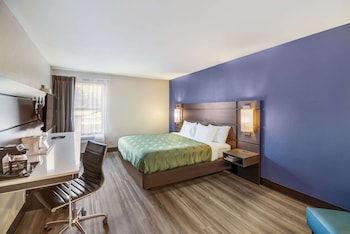 Standard Room, 1 King Bed, Non Smoking