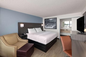 Room, 1 King Bed, Non Smoking