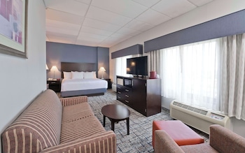 Suite, 1 King Bed (with Sofabed)