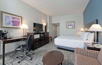 Standard Room, 1 King Bed, Refrigerator & Microwave (Pet Friendly)