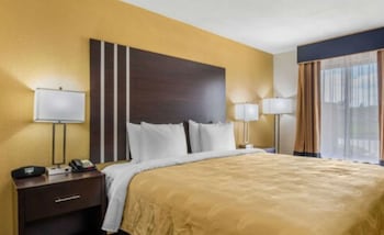 Standard Room, 1 King Bed, Non Smoking