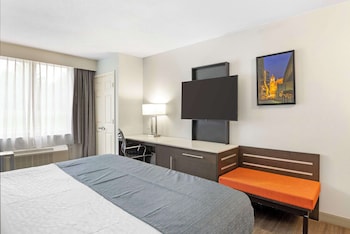 Executive Room, 1 King Bed, Non Smoking, Refrigerator & Microwave (with Sofabed)