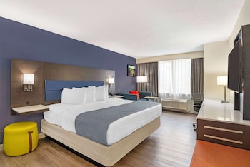 Executive Room, 1 King Bed, Non Smoking, Refrigerator & Microwave (with Sofabed)