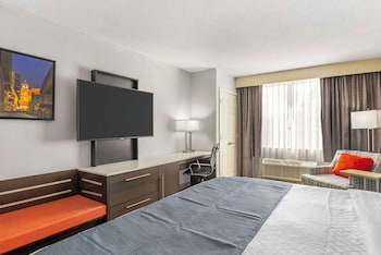 Standard Room, 1 King Bed, Non Smoking, Refrigerator & Microwave