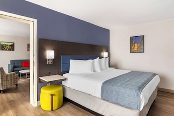 Suite, 1 King Bed, Non Smoking, Refrigerator & Microwave (with Sofabed)