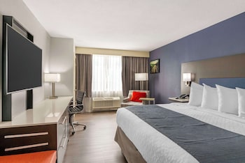 Standard Room, 1 King Bed, Non Smoking, Refrigerator & Microwave