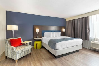 Suite, 1 King Bed, Accessible, Bathtub (with Sofabed)