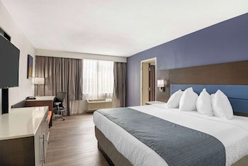 Suite, 1 King Bed, Non Smoking, Refrigerator & Microwave (with Sofabed)