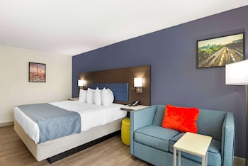 Executive Room, 1 King Bed, Non Smoking, Refrigerator & Microwave (with Sofabed)