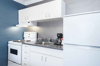 Studio Suite, 2 Double Beds, Kitchen