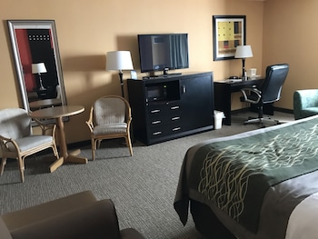 Room, 1 King Bed, Smoking