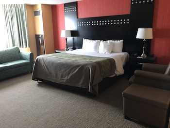 Room, 1 King Bed, Smoking