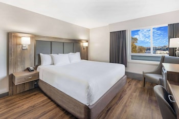 Standard Room, 1 King Bed (Street View)