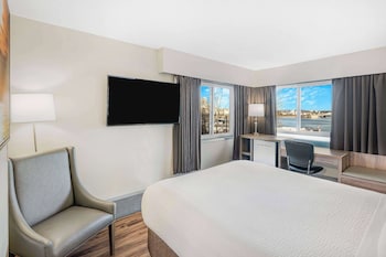 Standard Room, 1 Queen Bed, Harbor View