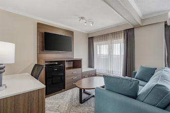 Standard Room, 1 King Bed, Non Smoking, Refrigerator (Larger Room;with Sofabed)