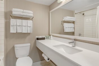 Suite, 1 King Bed, Non Smoking, Refrigerator (with Sofabed)