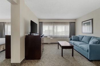 Suite, 1 King Bed, Non Smoking, Refrigerator (with Sofabed)