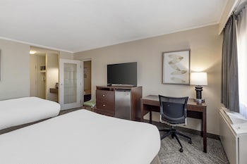 Family Suite, Multiple Beds, Non Smoking, Refrigerator