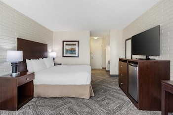Standard Room, 1 Queen Bed, Non Smoking, Refrigerator
