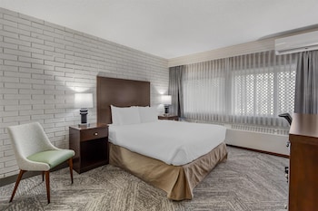 Standard Room, 1 Queen Bed, Accessible, Refrigerator & Microwave (Refrigerator & Microwave)