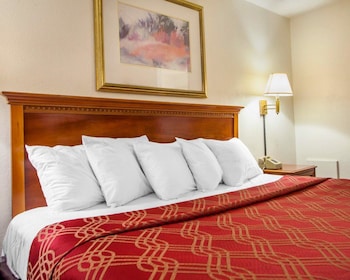 Standard Room, 1 King Bed, Non Smoking